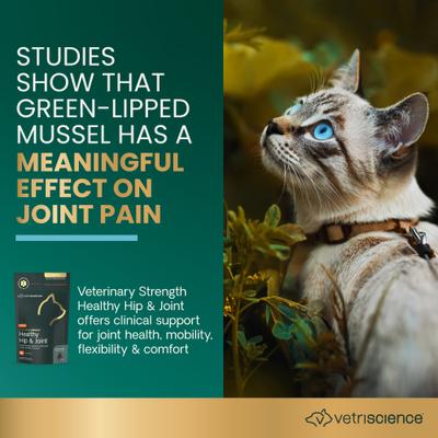 Show full view: VetriScience Veterinary Strength Healthy Hip & Joint VetriFlex Chicken Flavored Soft Chew Joint Supplement for Cats, 60 count slide 4 of 10