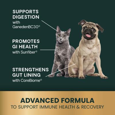 Show full view: VetriScience Veterinary Strength Healthy Gut & Digestion Duck Flavored Soft Chew Digestive Supplement for Dogs & Cats, 60 count slide 6 of 10