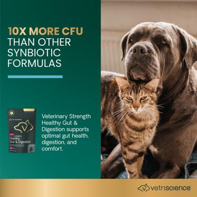Show full view: VetriScience Veterinary Strength Healthy Gut & Digestion Duck Flavored Soft Chew Digestive Supplement for Dogs & Cats, 60 count slide 4 of 10