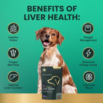 Show full view: VetriScience Veterinary Strength Liver Health Hepaticlear Pro Chicken Flavored Soft Chew Liver Supplement for Dogs, 60 count slide 7 of 10