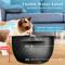Show in main carousel: PetNF Stainless Steel Cat Water Fountain, Black, 3-L slide 2 of 7
