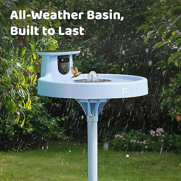 Show full view: Birdfy Solar Powered Smart Bird Bath with Camera AI Lifetime, Blue slide 9 of 10