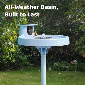 Birdfy Solar Powered Smart Bird Bath with Camera AI Lifetime, Blue