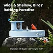 Show in main carousel: Birdfy Solar Powered Smart Bird Bath with Camera AI Lifetime, Blue slide 7 of 10