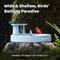 Show in main carousel: Birdfy Solar Powered Smart Bird Bath with Camera AI Lifetime, Blue slide 7 of 10