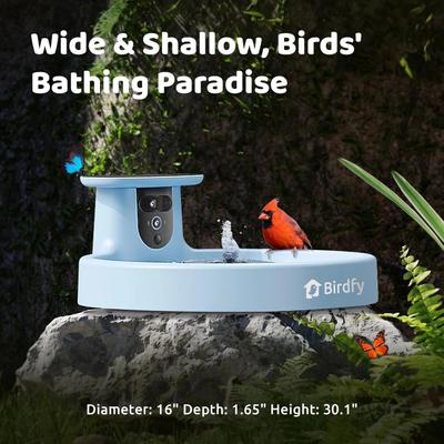 Show full view: Birdfy Solar Powered Smart Bird Bath with Camera AI Lifetime, Blue slide 7 of 10