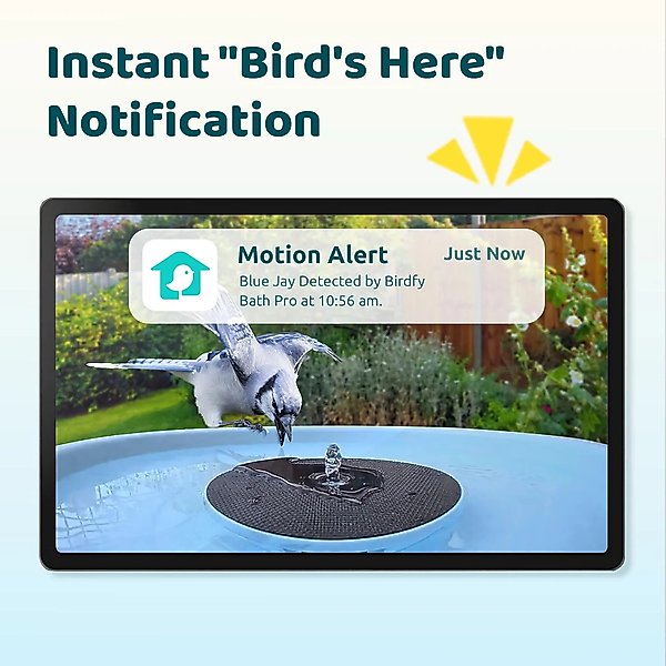 Show full view: Birdfy Solar Powered Smart Bird Bath with Camera AI Lifetime, Blue slide 2 of 10