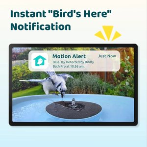 Birdfy Solar Powered Smart Bird Bath with Camera AI Lifetime, Blue
