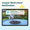Show in main carousel: Birdfy Solar Powered Smart Bird Bath with Camera AI Lifetime, Blue slide 2 of 10