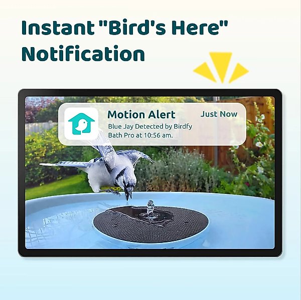 Show full view: Birdfy Solar Powered Smart Bird Bath with Camera, Blue slide 2 of 9