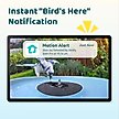 Show in main carousel: Birdfy Solar Powered Smart Bird Bath with Camera, Blue slide 2 of 9