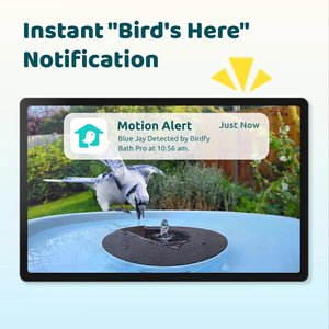 Birdfy Solar Powered Smart Bird Bath with Camera, Blue