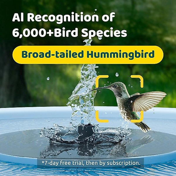 Show full view: Birdfy Solar Powered Smart Bird Bath with Camera, Blue slide 4 of 9