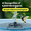 Show in main carousel: Birdfy Solar Powered Smart Bird Bath with Camera, Blue slide 4 of 9