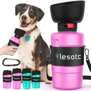 SPRINGLAND Travel Dog Bottle, 22-oz, Poppy - Chewy.com