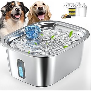 PetNF Stainless Steel Dog Water Fountain with 4 Filters, 3-gal