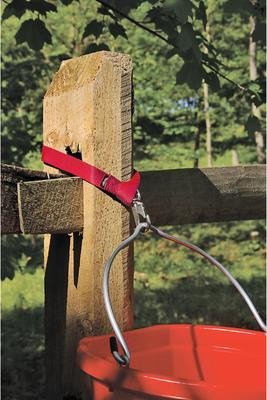 Show full view: Weaver Equine Horse Bucket Strap, Red, 22-in x 1-in slide 2 of 2