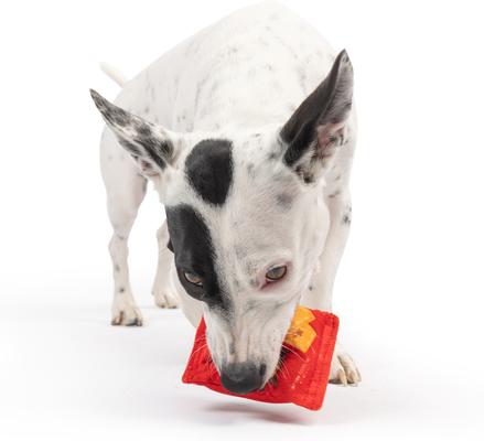 Show full view: Huxley & Kent Tiny Tuff Sneez-It Dog Toy, Red/Orange, One Size slide 6 of 7