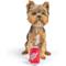 Show in main carousel: Huxley & Kent Tiny Tuff Dr Pooper Dog Toy, Red, One Size slide 4 of 6