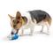 Show in main carousel: Huxley & Kent Tiny Tuff Arctic Blast Treat Dog Toy, Blue, One Size slide 6 of 6
