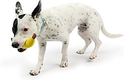 Huxley & Kent Tiny Tuff Bruiser Banana Dog Toy, Yellow, Small slide 2 of 8