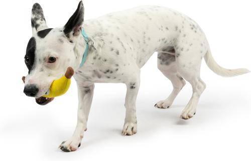 Show full view: Huxley & Kent Tiny Tuff Bruiser Banana Dog Toy, Yellow, Small slide 6 of 8