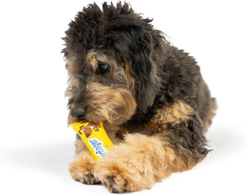 Show full view: Huxley & Kent Tiny Tuff Mutterfinger Dog Toy, Yellow/Blue, One Size slide 4 of 6