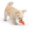 Show in main carousel: Huxley & Kent Tiny Tuff Roscos Dog Toy, Orange, One Size slide 7 of 7