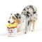 Show in main carousel: Huxley & Kent Power Plush Poutine Dog Toy, White/Yellow/Brown, Large slide 1 of 8