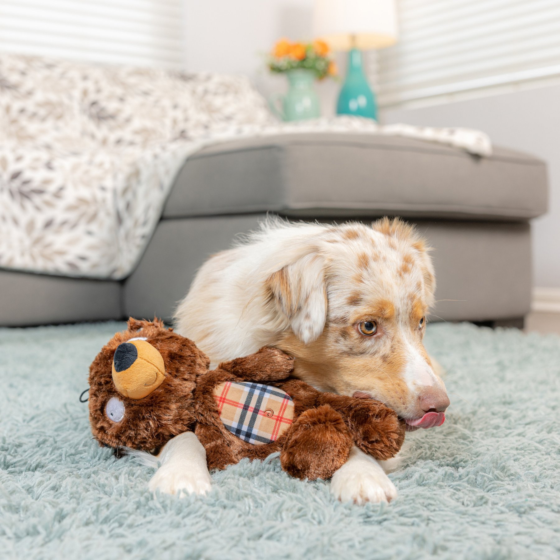 Huxley & Kent Slappies Beary Styles Dog Toy, Brown/Tan, Small