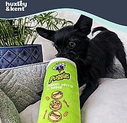 Huxley & Kent Power Plush Puggles Can Dog Toy, Green, Large slide 2 of 9