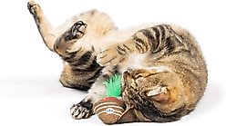 Huxley & Kent Chocolate Strawberry Cat Toy, Green/Red/Brown, One Size slide 2 of 8