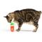 Show in main carousel: Huxley & Kent Fluffy Mary Cat Toy, Red/Green slide 4 of 5