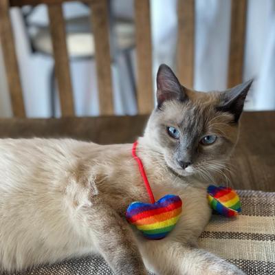 Show full view: Huxley & Kent Pride Heart Strings Cat Toy, Multi, One Size slide 4 of 5