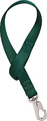Weaver Equine Horse Bucket Strap, Hunter Green, 22-in x 1-in slide 1 of 2