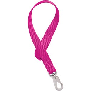 Weaver Equine Horse Bucket Strap, Raspberry, 22-in x 1-in
