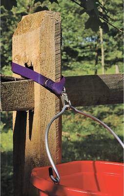 Show full view: Weaver Equine Horse Bucket Strap, Purple, 22-in x 1-in slide 2 of 2