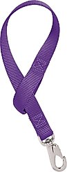Weaver Equine Horse Bucket Strap, Purple, 22-in x 1-in