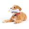 Show in main carousel: Huxley & Kent Tiny Tuff It'S My Barkday Bone Dog Toy, Blue/Multi, One Size slide 1 of 8
