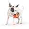 Show in main carousel: Huxley & Kent Tiny Tuff Sneez-It Dog Toy, Red/Orange, One Size slide 5 of 7