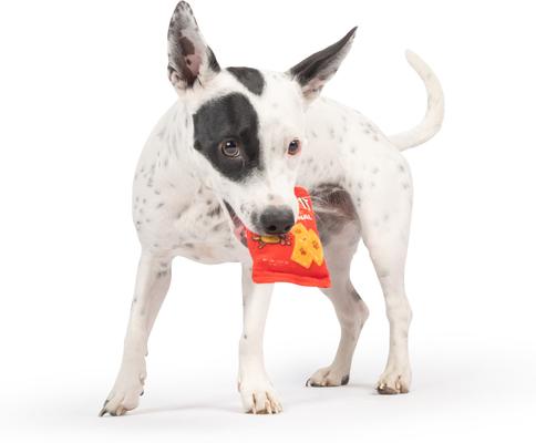 Show full view: Huxley & Kent Tiny Tuff Sneez-It Dog Toy, Red/Orange, One Size slide 5 of 7