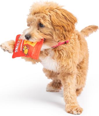 Show full view: Huxley & Kent Tiny Tuff Sneez-It Dog Toy, Red/Orange, One Size slide 7 of 7