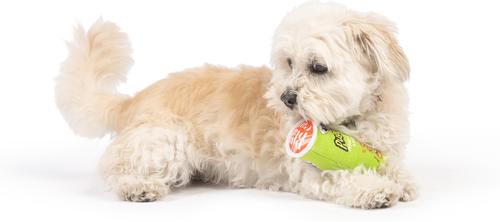 Show full view: Huxley & Kent Tiny Tuff Puggles Can Dog Toy, Green, One Size slide 7 of 7