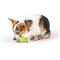 Show in main carousel: Huxley & Kent Tiny Tuff Puggles Can Dog Toy, Green, One Size slide 4 of 7