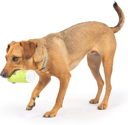 Show full view: Huxley & Kent Tiny Tuff Puggles Can Dog Toy, Green, One Size slide 6 of 7