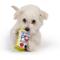 Show in main carousel: Huxley & Kent Tiny Tuff Skinny Pup Dog Toy, White/Green/Red, One Size slide 5 of 7