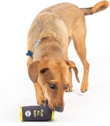 Huxley & Kent Tiny Tuff Muttster Energy Dog Toy, Black/Green, One Size slide 2 of 6