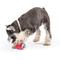 Show in main carousel: Huxley & Kent Tiny Tuff Dr Pooper Dog Toy, Red, One Size slide 6 of 6