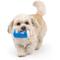 Show in main carousel: Huxley & Kent Tiny Tuff Arctic Blast Treat Dog Toy, Blue, One Size slide 4 of 6