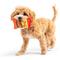 Show in main carousel: Huxley & Kent Tiny Tuff Treatos Snacks Dog Toy, Orange/Yellow, One Size slide 6 of 6